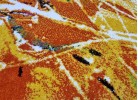 Тъкан килим MAGNOLIA 156 orange